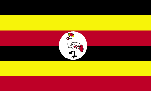 Box Shipping from to Uganda
